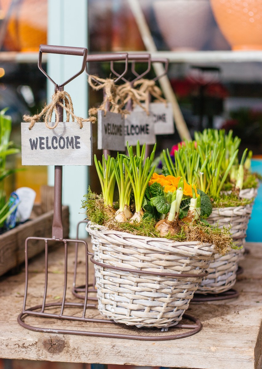 veggie baskets with welcome signs on them